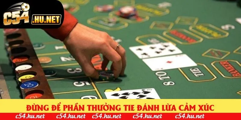 Đừng để phần thưởng Tie đánh lừa cảm xúc