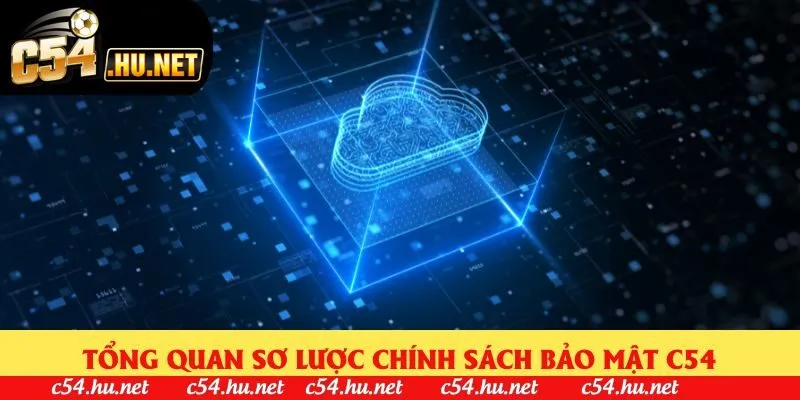 Tổng quan sơ lược chính sách bảo mật C54