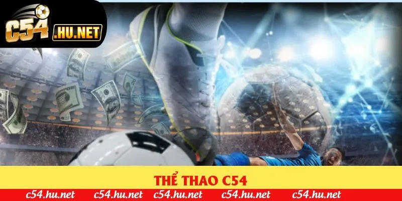 Thể thao C54: Sảnh Cược Hàng Đầu Thị Trường Năm 2025