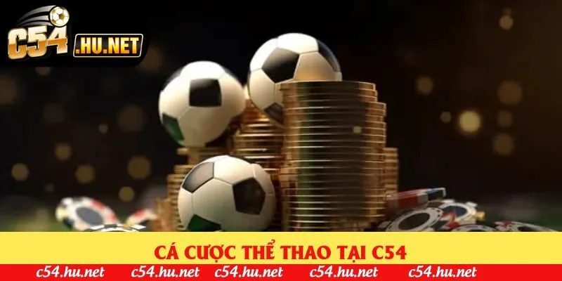 Cá cược thể thao tại C54