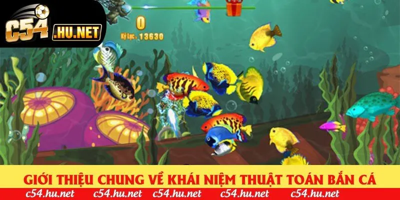 Giới thiệu chung về khái niệm thuật toán bắn cá